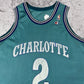 Vintage Champion Charlotte Hornets Larry Johnson Basketball Jersey (L)