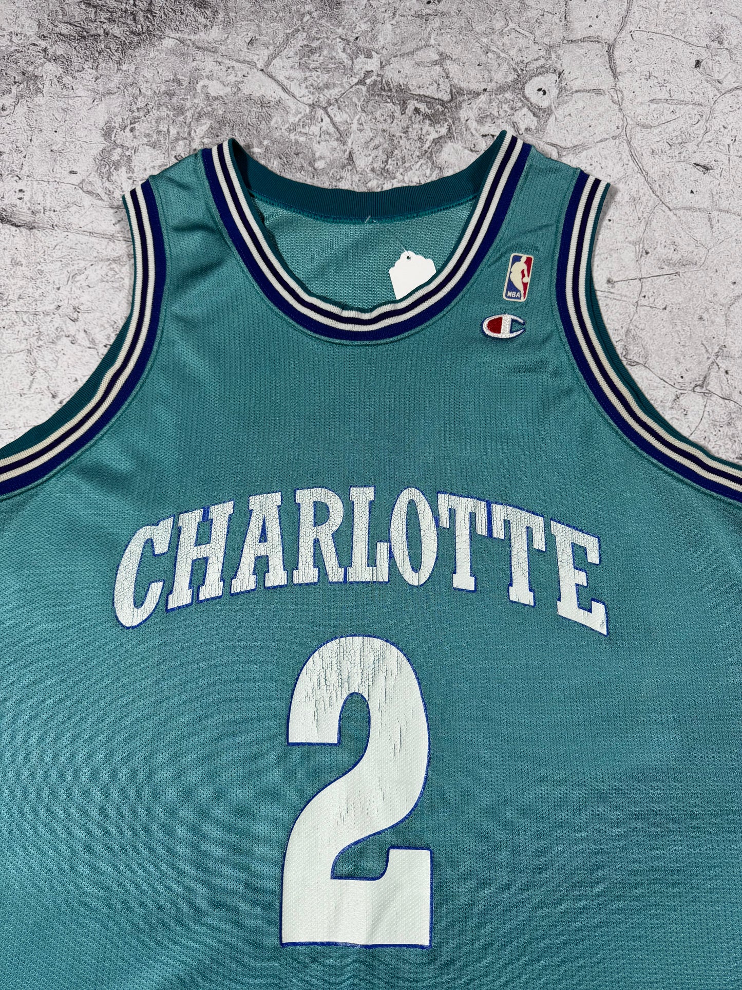 Vintage Champion Charlotte Hornets Larry Johnson Basketball Jersey (L)