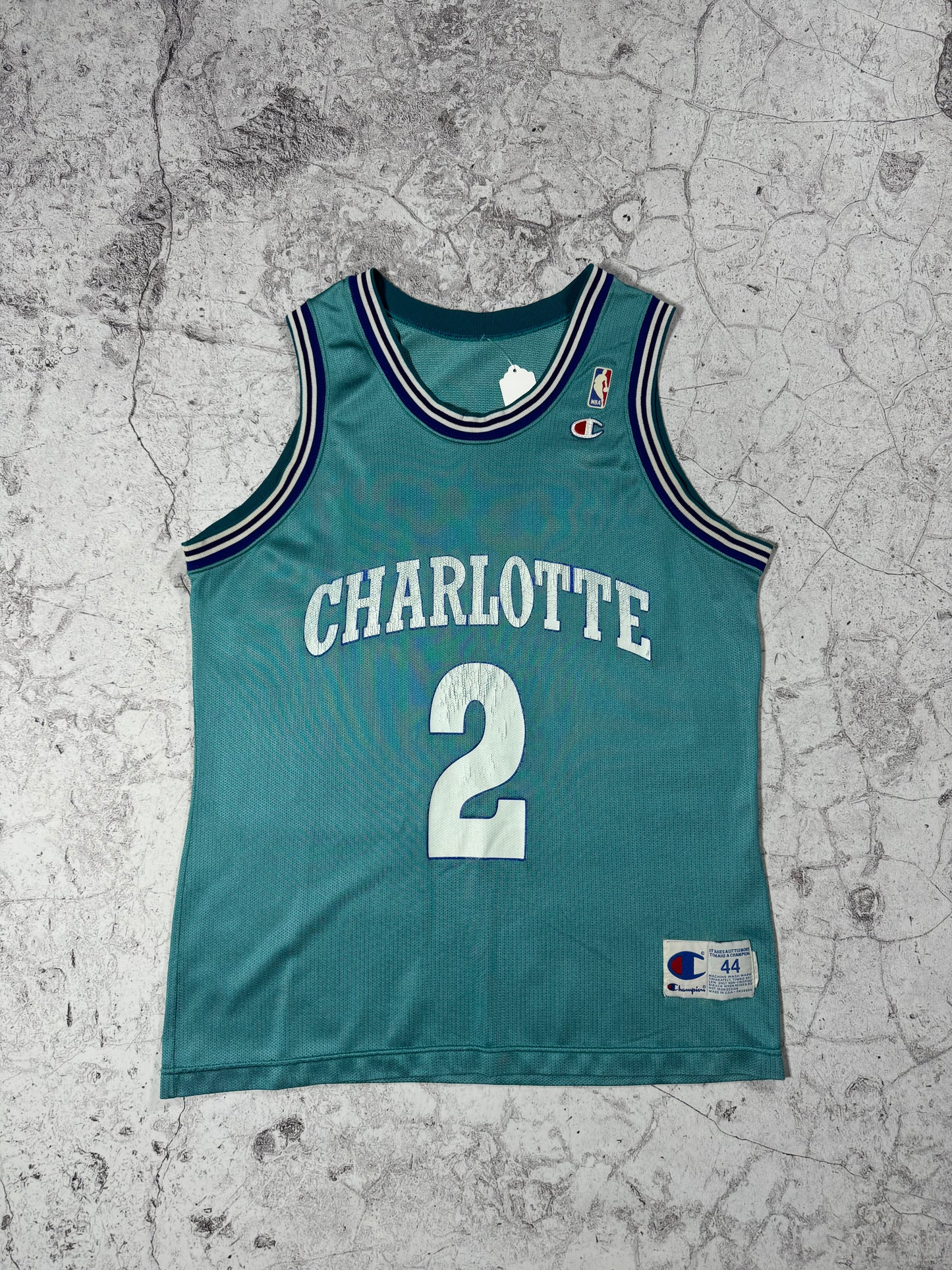 Vintage Champion Charlotte Hornets Larry Johnson Basketball Jersey (L)