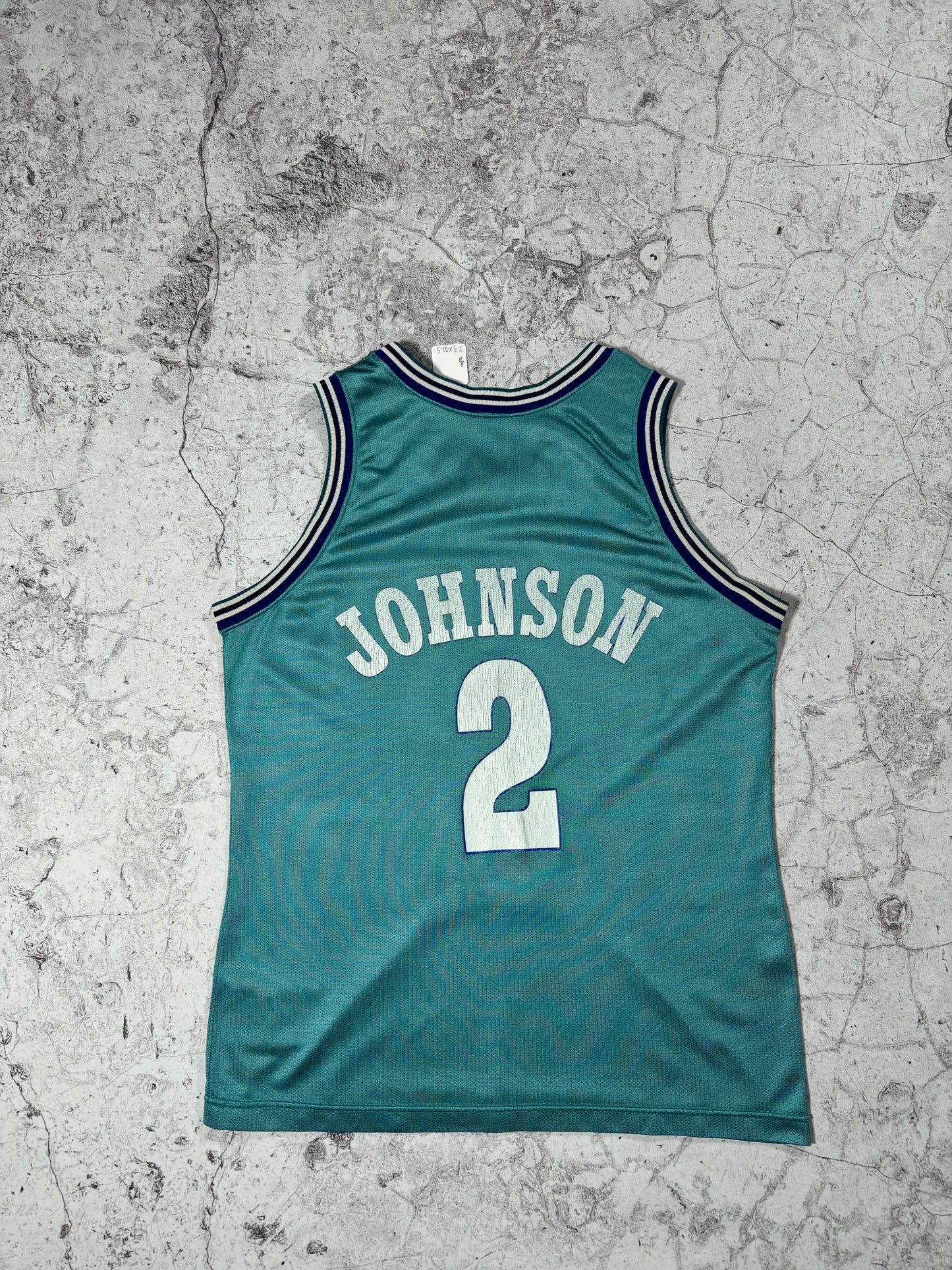 Vintage Champion Charlotte Hornets Larry Johnson Basketball Jersey (L)