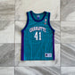 Vintage Champion Youth Charlotte Hornets Glen Rice Jersey (Fits Like S)