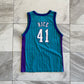 Vintage Champion Youth Charlotte Hornets Glen Rice Jersey (Fits Like S)