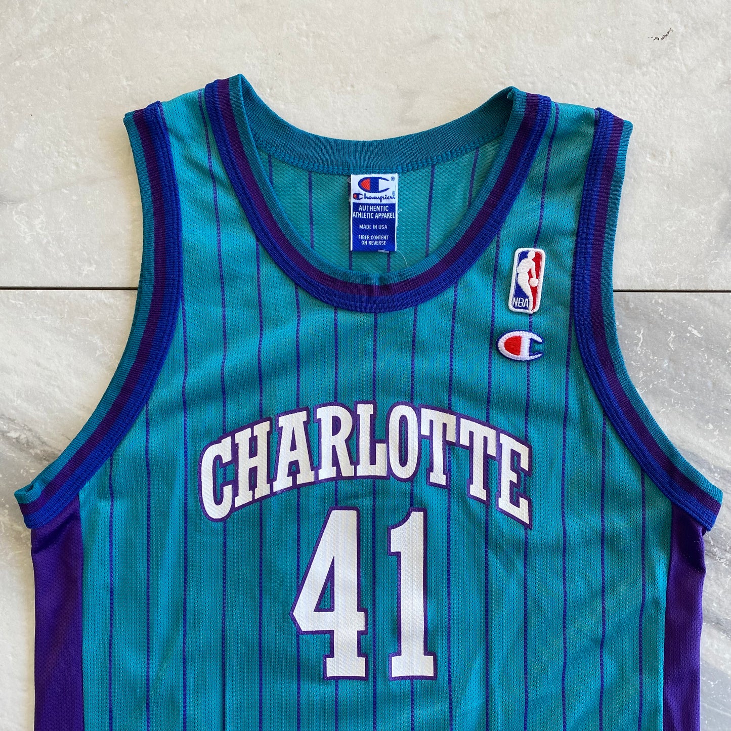 Vintage Champion Youth Charlotte Hornets Glen Rice Jersey (Fits Like S)